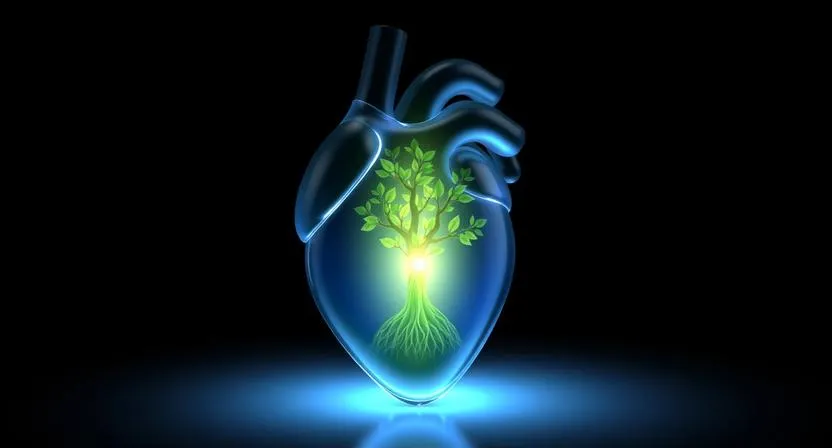 Analyse épistémologique des sourates exceptionnelles : Son, sens et dimension métaphysique - Guide