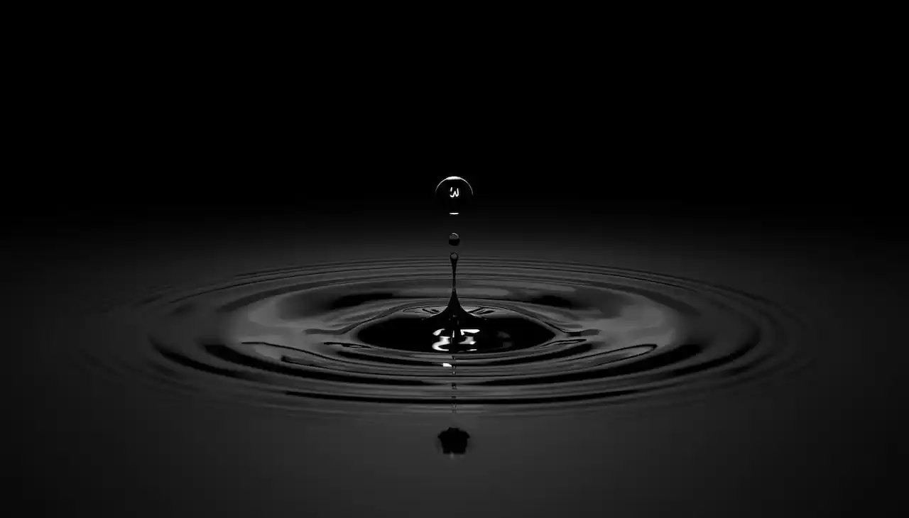 Règles de la grammaire arabe et miracle de l'éloquence : L'esthétique mathématique de la langue