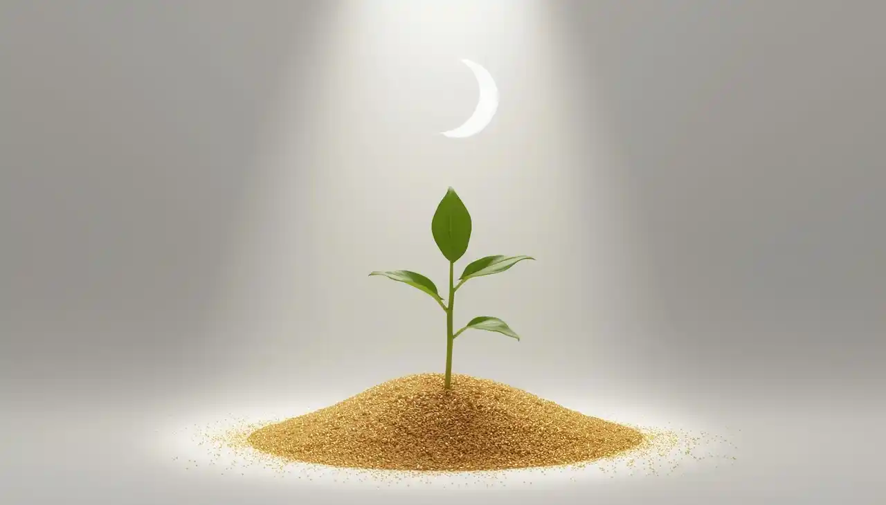 Значение и достоинства Трех месяцев: Раджаб, Шабан и Рамадан