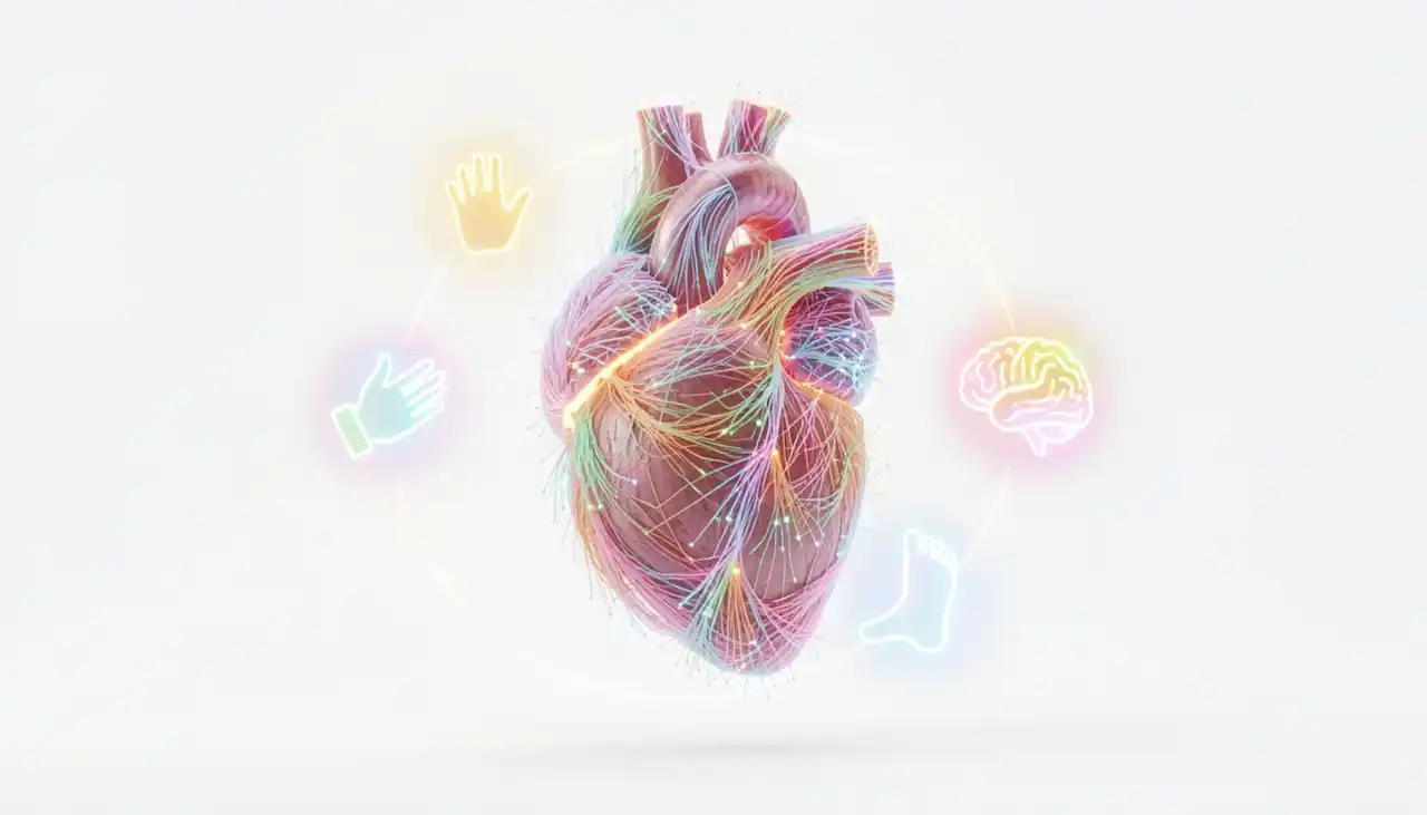 Les verbes anglais les plus utilisés et leurs significations : Une analyse lexicale