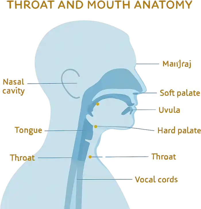 Arabische Buchstabenaussprache und Makhraj-Training: Phonetische Korrektheit und Artikulation - Leitfaden